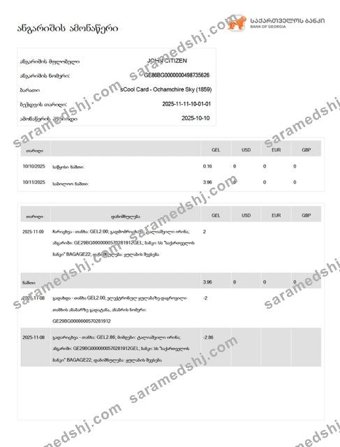 Georgia Bank of Georgia account statement Word and PDF template